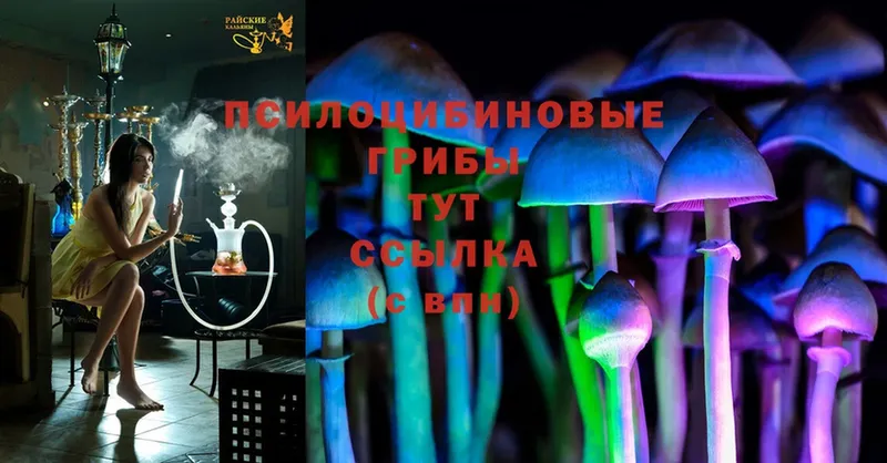 Псилоцибиновые грибы Magic Shrooms  закладка  Нефтеюганск 